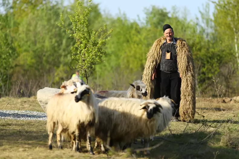 „Ferma vedetelor”. Diana Dumitrescu a ales fermierul săptămânii Majda Aboulumosha (5)