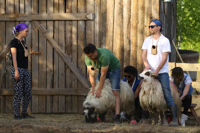 „Ferma vedetelor”. Diana Dumitrescu a ales fermierul săptămânii Majda Aboulumosha (8)