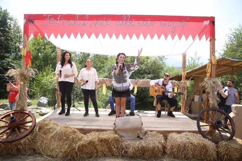 Ferma vedetelor (5) (3)