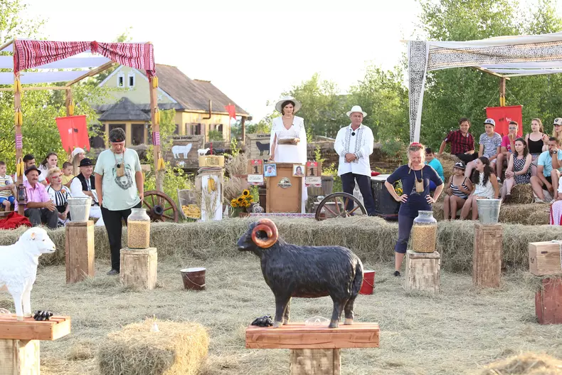 Ferma vedetelor - finala (2)