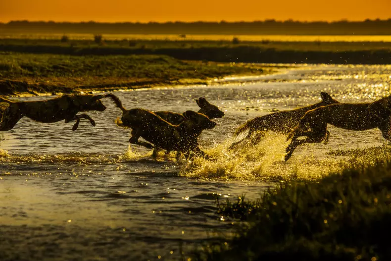 Dynasties_EP_04_003_Press_Pack