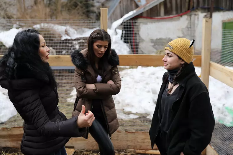 Ferma - Un nou inceput (1)