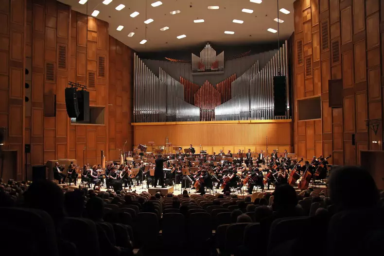 Orchestra Nationala Radio_foto Virgil Oprina