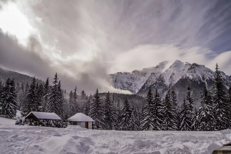 Wild CarpathiaDSC02878