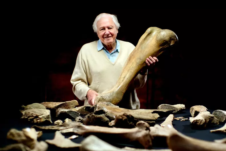 Attenborough_and_the_Mammoth_Graveyard_