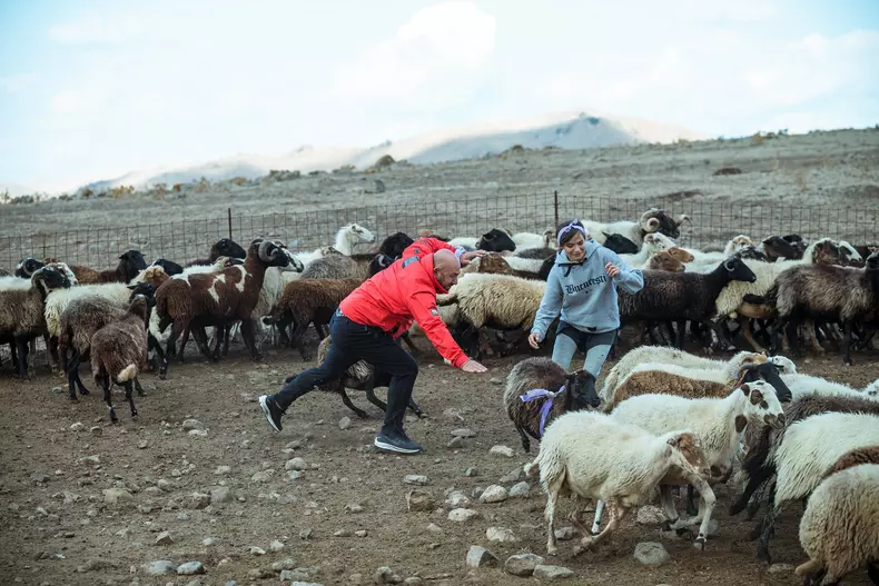 Chefi-fara-limite_stage-3_1