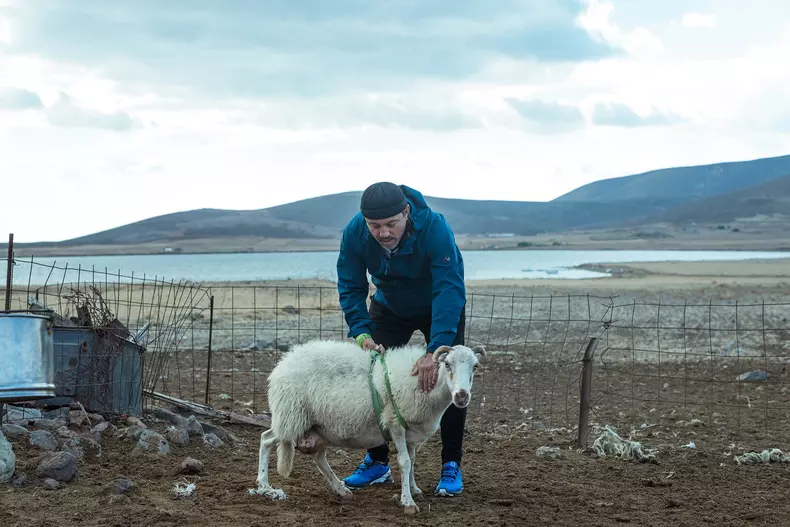 Chefi-fara-limite_stage-3_2