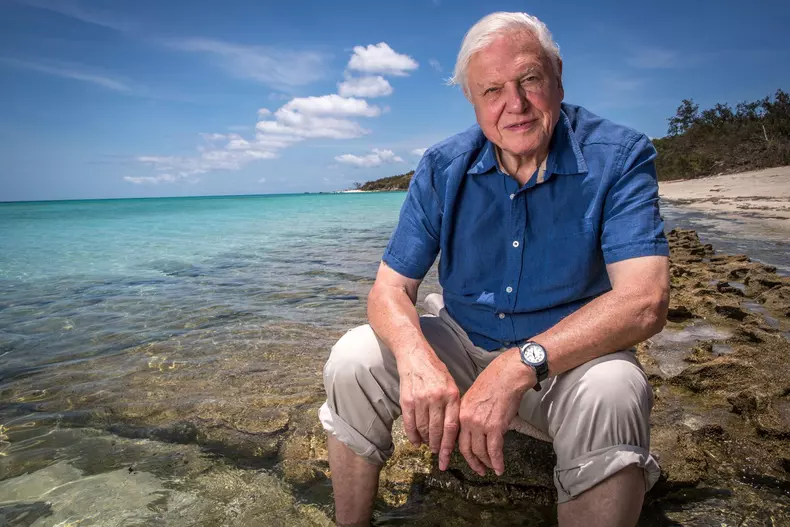 D.Attenborough