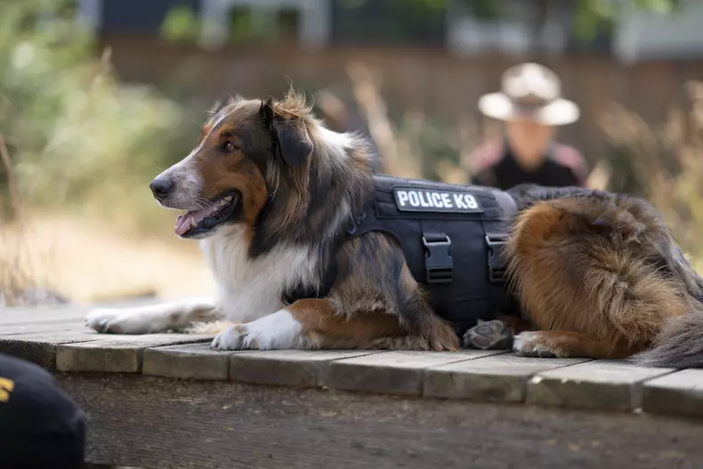 Rescued by Ruby. Cr. Ricardo Hubbs/Netflix © 2022