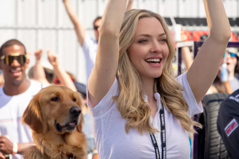 The Art of Racing in the Rain (2019) - filmstill