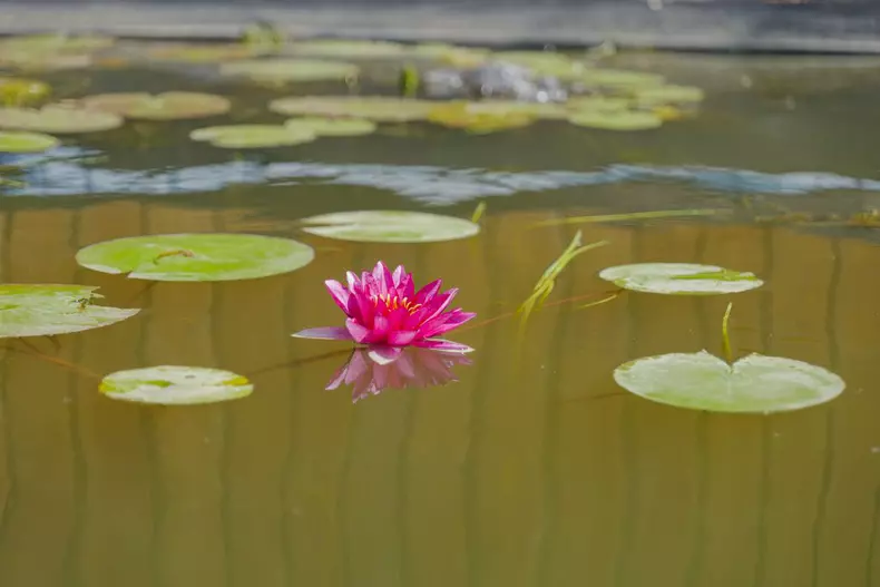 ROventura-20-august-2022.-Incursiune-de-vis-de-pe-Plaiul-Bascilor-pana-la-Buzau-29