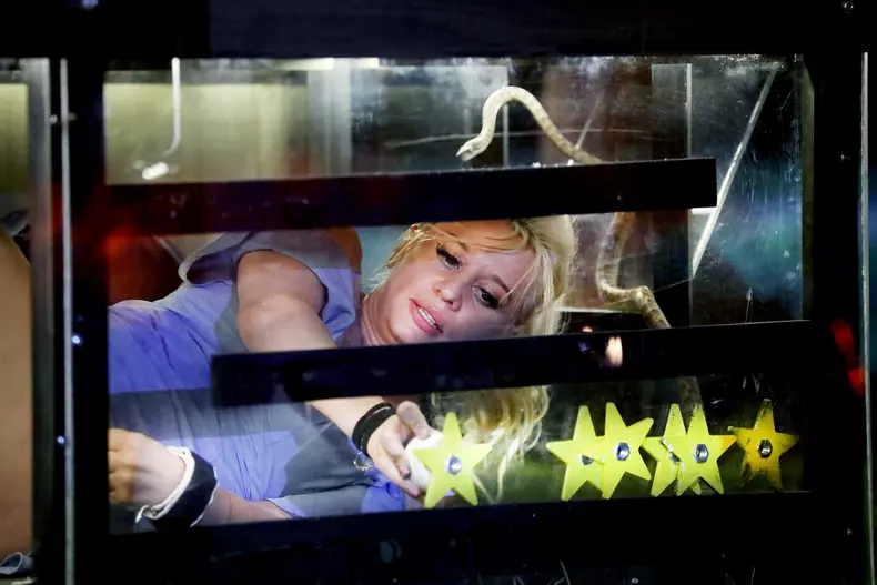 Sunt-celebru-scoate-ma-de-aici-ep.-1-4-1