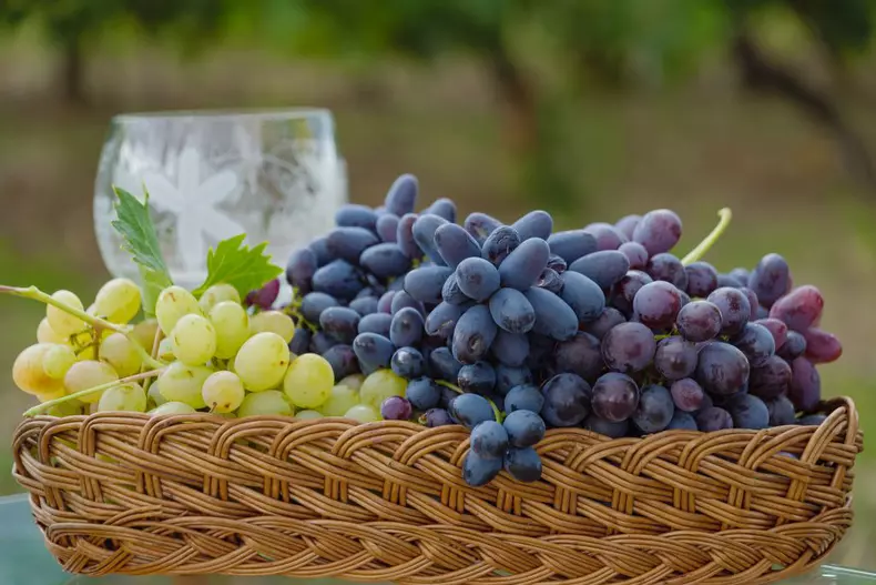 ROventura, 5 noiembrie 2022. Pe plaiuri de baladă, în Țara Vrancei