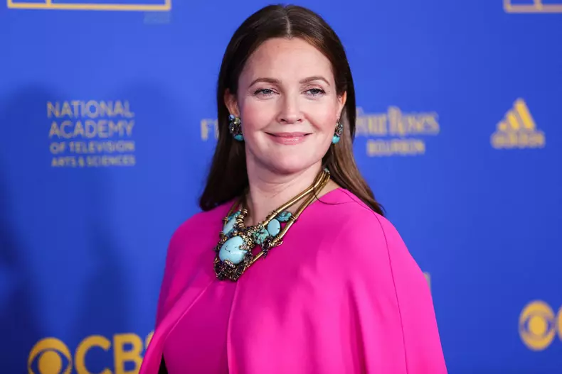 49th Daytime Emmy Awards - LA