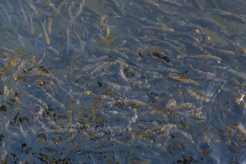 ROventura, 6 mai 2023. Maramureș, tradiție și statornicie