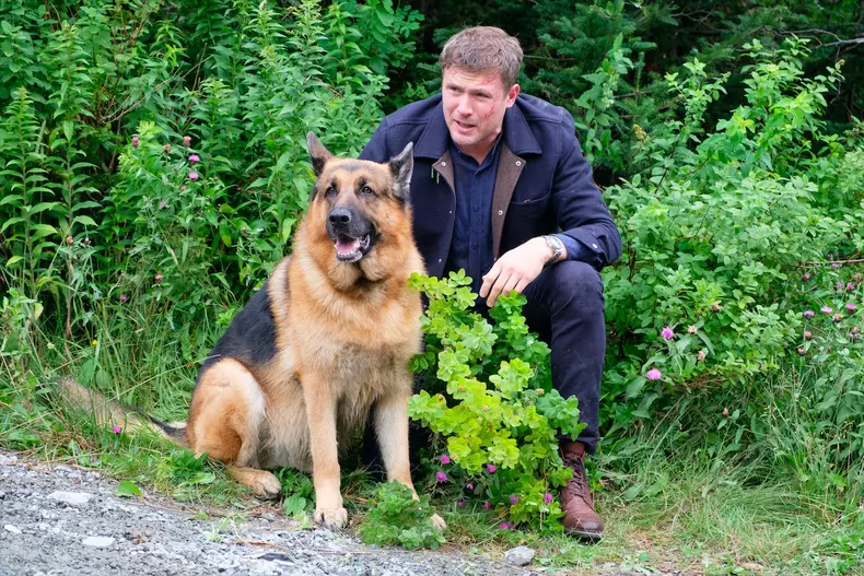 Hudson și Rex. Ce trebuie să știți despre eroul canin al serialului canadian de la TVR 2