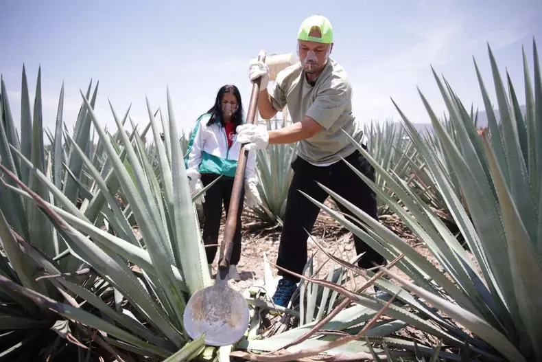 puya-si-melinda-2-1