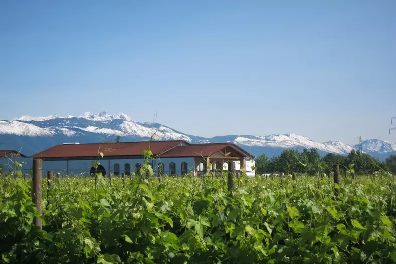 vigneti-bibano-1024x683-1