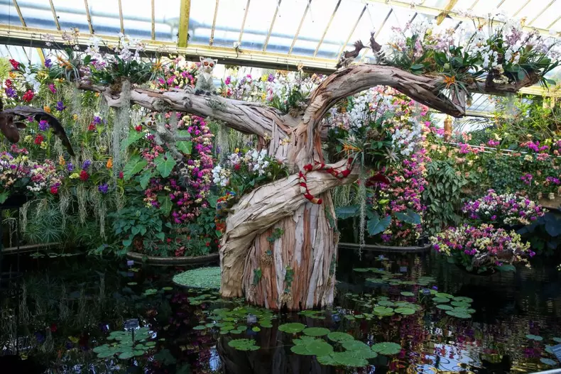 Royal Botanic Gardens, Kew, Londra