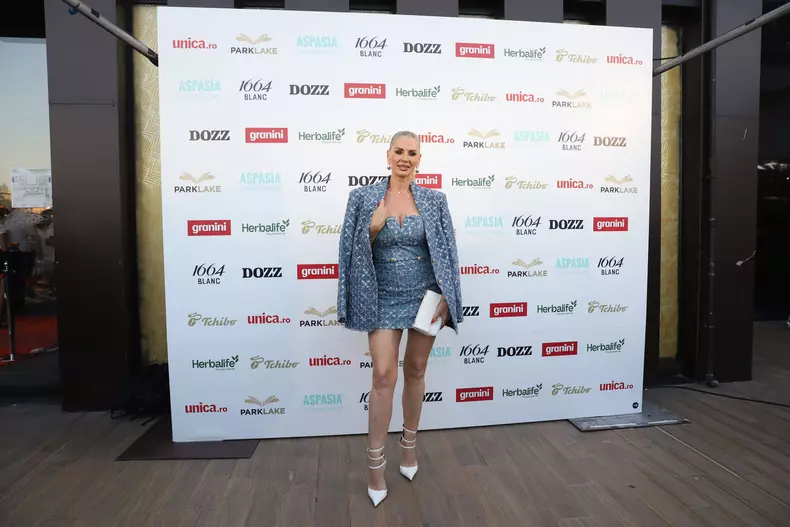 andreea banica panou 2