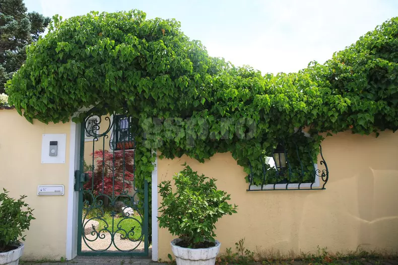 gard casa georgescu