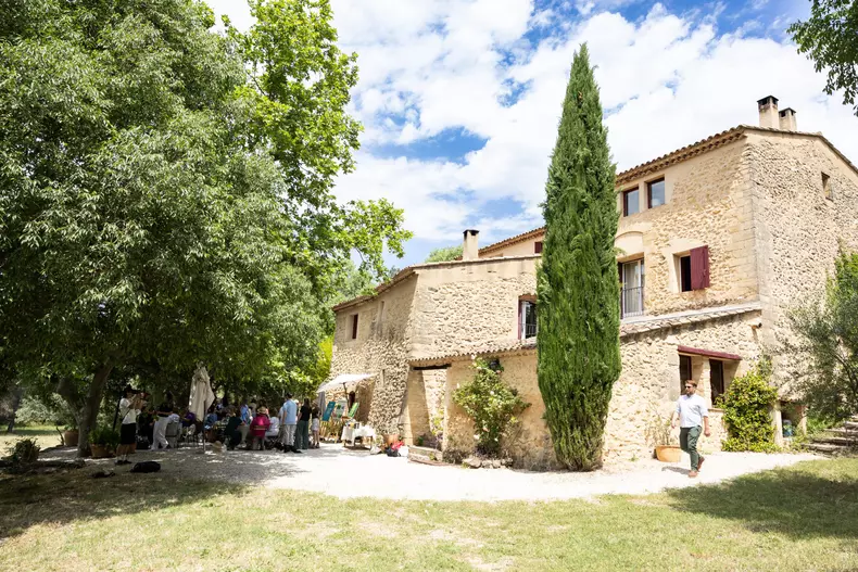 rozmarin-provence-weleda (5)