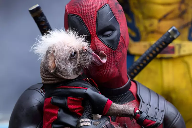 Ryan Reynolds, pregătire intensă pentru „Deadpool 3” 