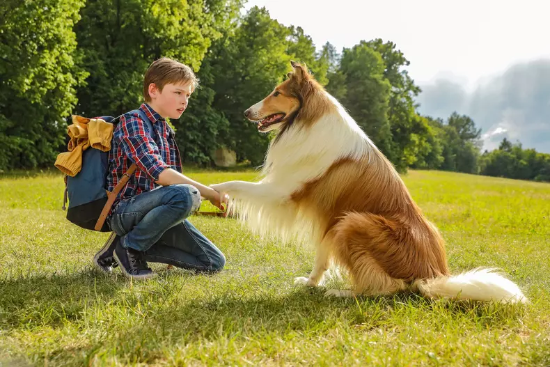 Lassie Come Home