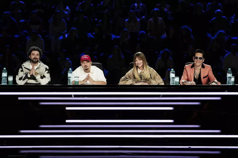 Juriul X Factor (2)