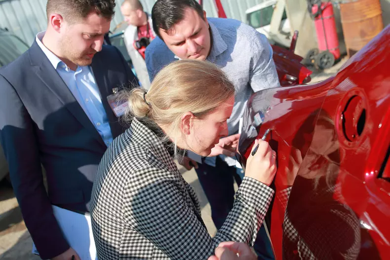 vopsitorul anului 2019 21