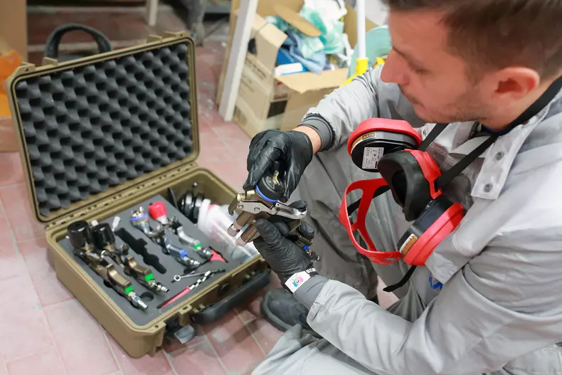 vopsitorul anului 2019 6