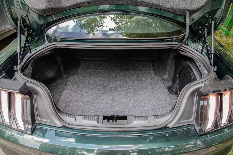 Ford Mustang Bullitt 076