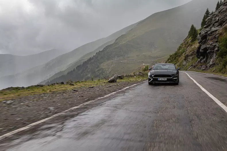 Ford Mustang Bullitt 102