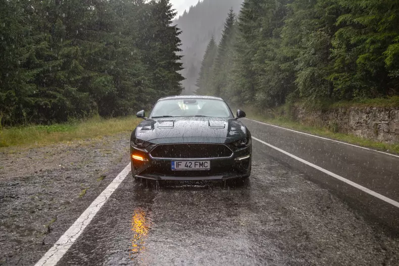 Ford Mustang Bullitt 113