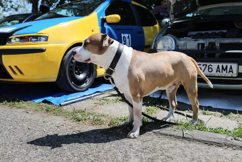 P90421496_lowRes_vitesco-technologies