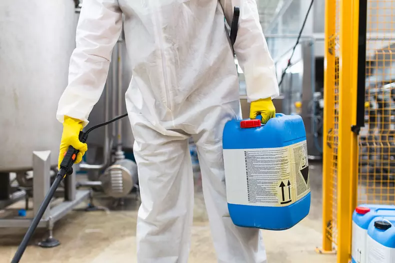 Pest Control Worker Hand Holding Sprayer For Spraying Pesticides
