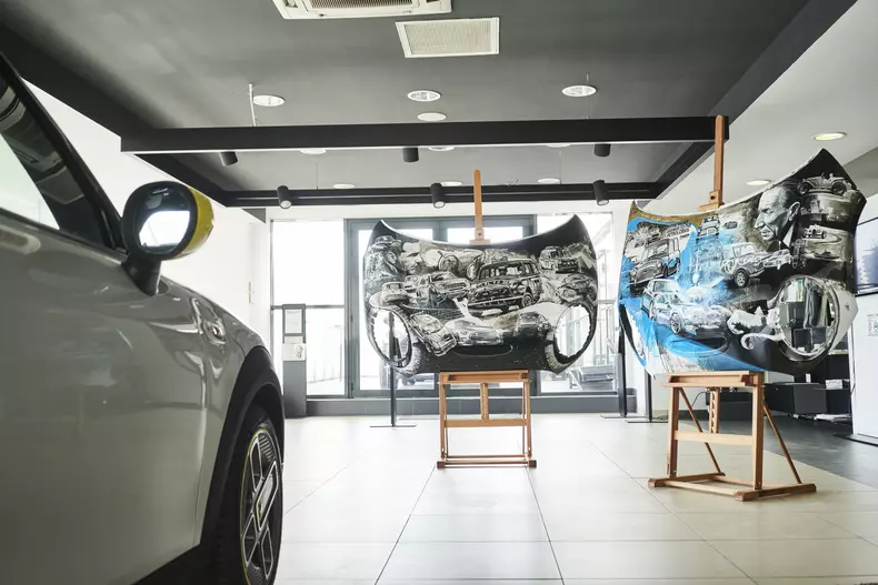 proiect de arta MINI semnat Adrian Mitu foto Radu Chindris 10