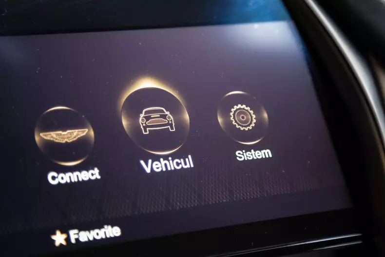 Aston Martin DBX 038