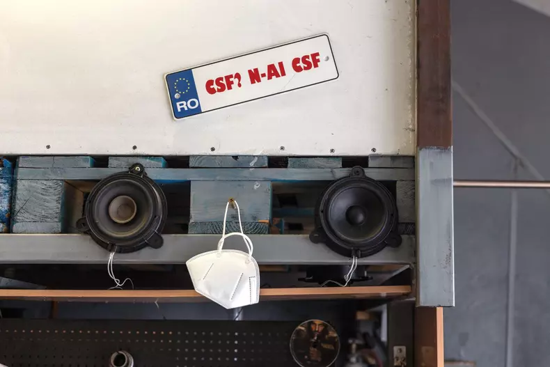 Interviu Dan Pantilin Atelierul Panda 013