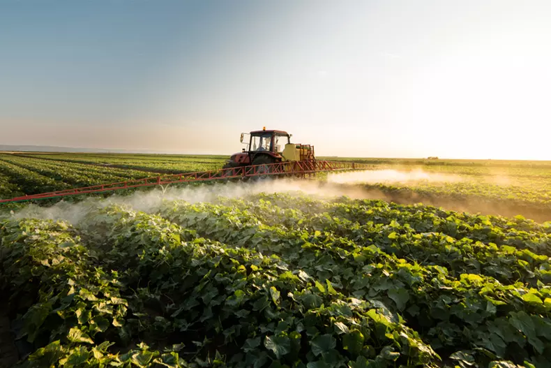 Auto-bild.ro-agronord.ro