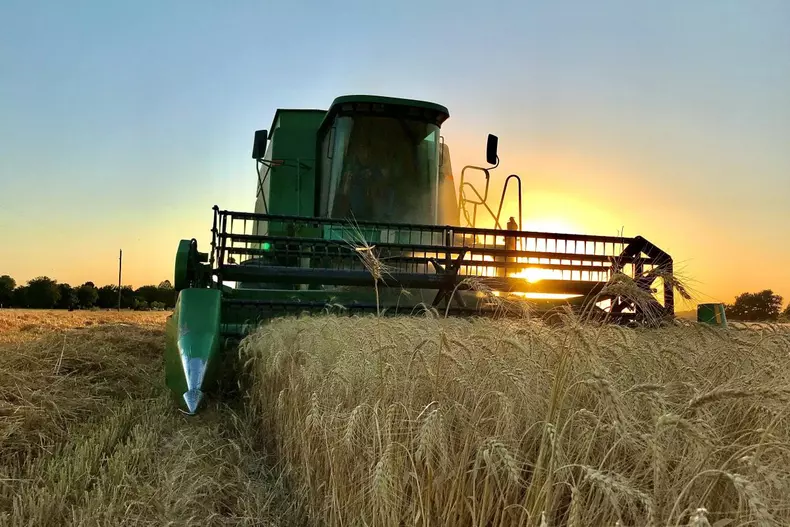 Auto-bild.ro-regalfermierul.ro (1)