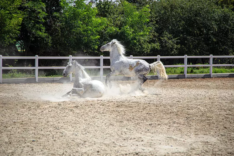 Rodica si DS 4 low res 013