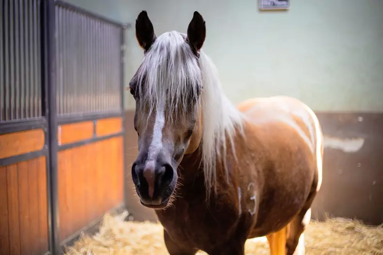 Rodica si DS 4 low res 066