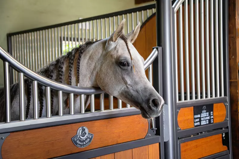 Rodica si DS 4 low res 074