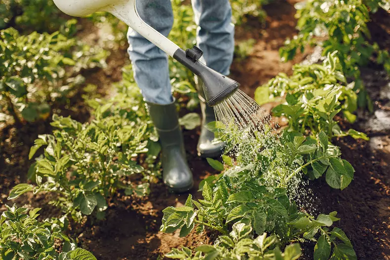 Auto-bild.ro_columnashop.ro