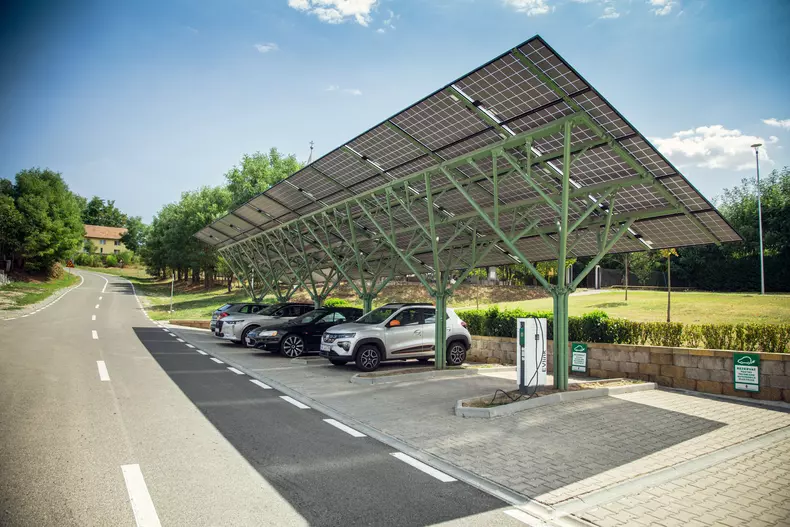 Ciugud to be true 002