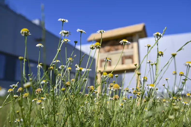 P90618066_highRes_bmw-group-plant-debr