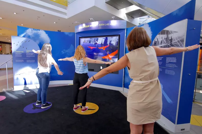 expoziție aeronautică și aerospațiala2