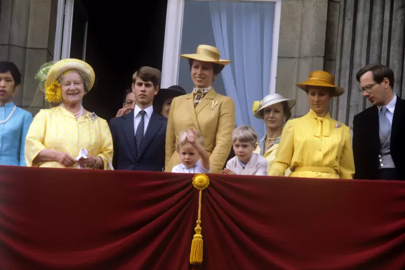 Motivul conflictului dintre Prințesa Diana și Prințesa Anne