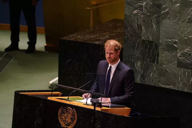 Prince Harry addresses the United Nations